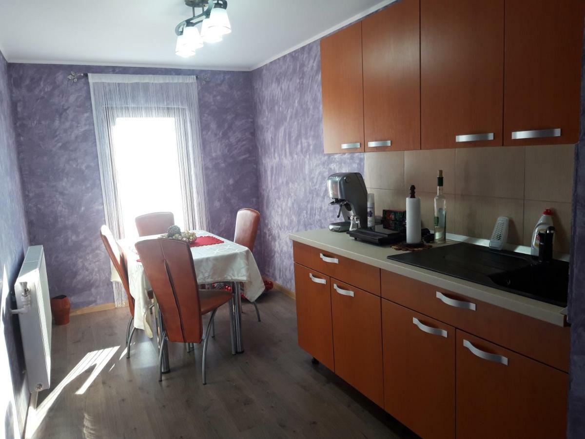 Colt De Rai - Camera De Inchiriat Resicabánya Kültér fotó