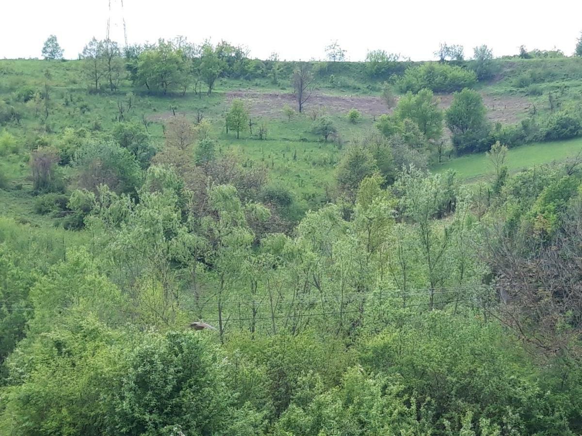Colt De Rai - Camera De Inchiriat Resicabánya Kültér fotó